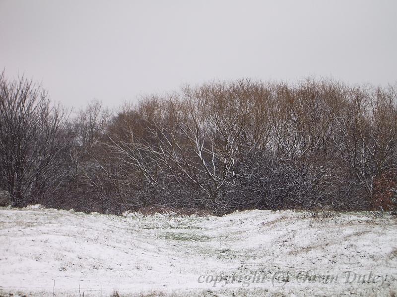 Snow, Blackheath IMGP7562.JPG